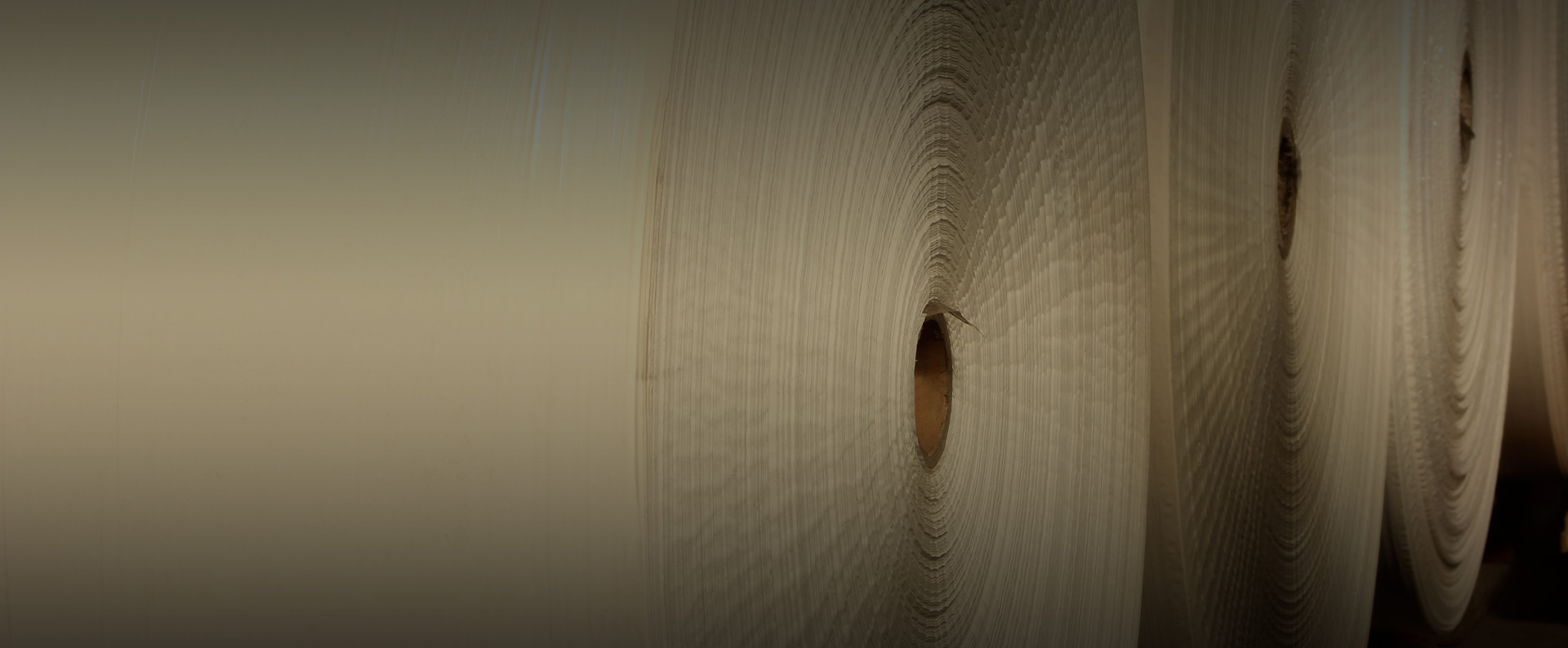 Paper Industry